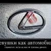 Девушки Девушки