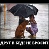 Друг Друг