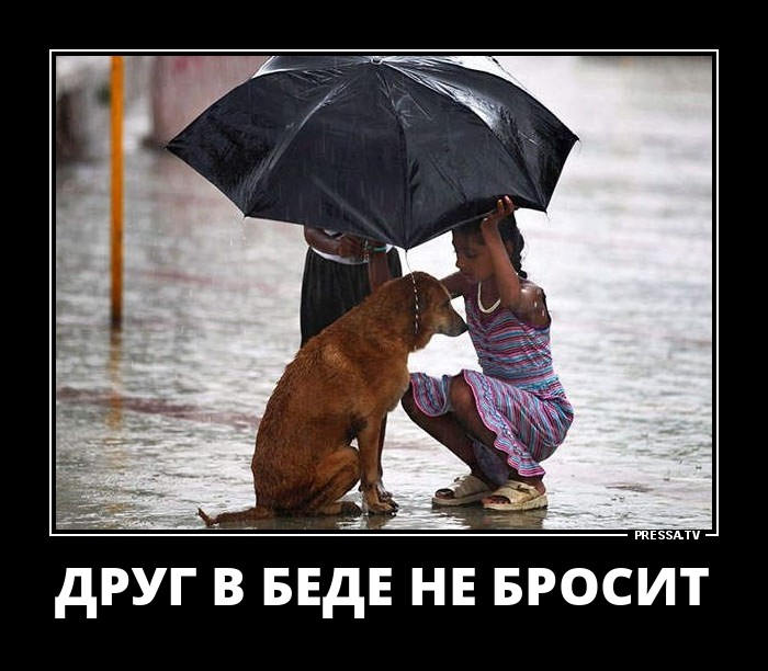 Друг