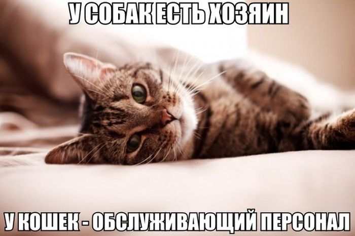 Обслуживающий персонал