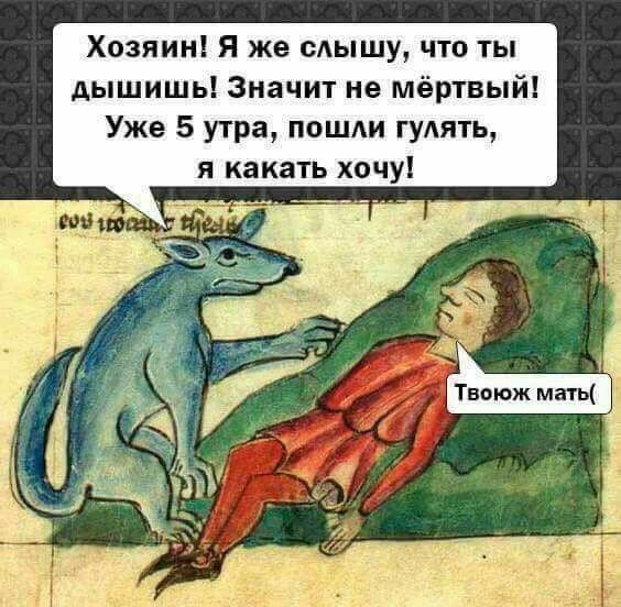 Твоюж мать