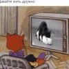 Давайте жить дружно Давайте жить дружно