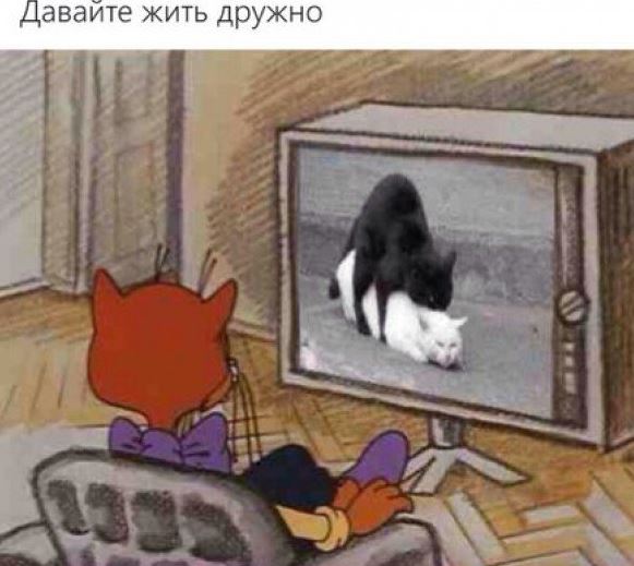 Давайте жить дружно