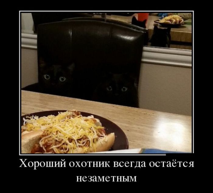 Хороший охотник