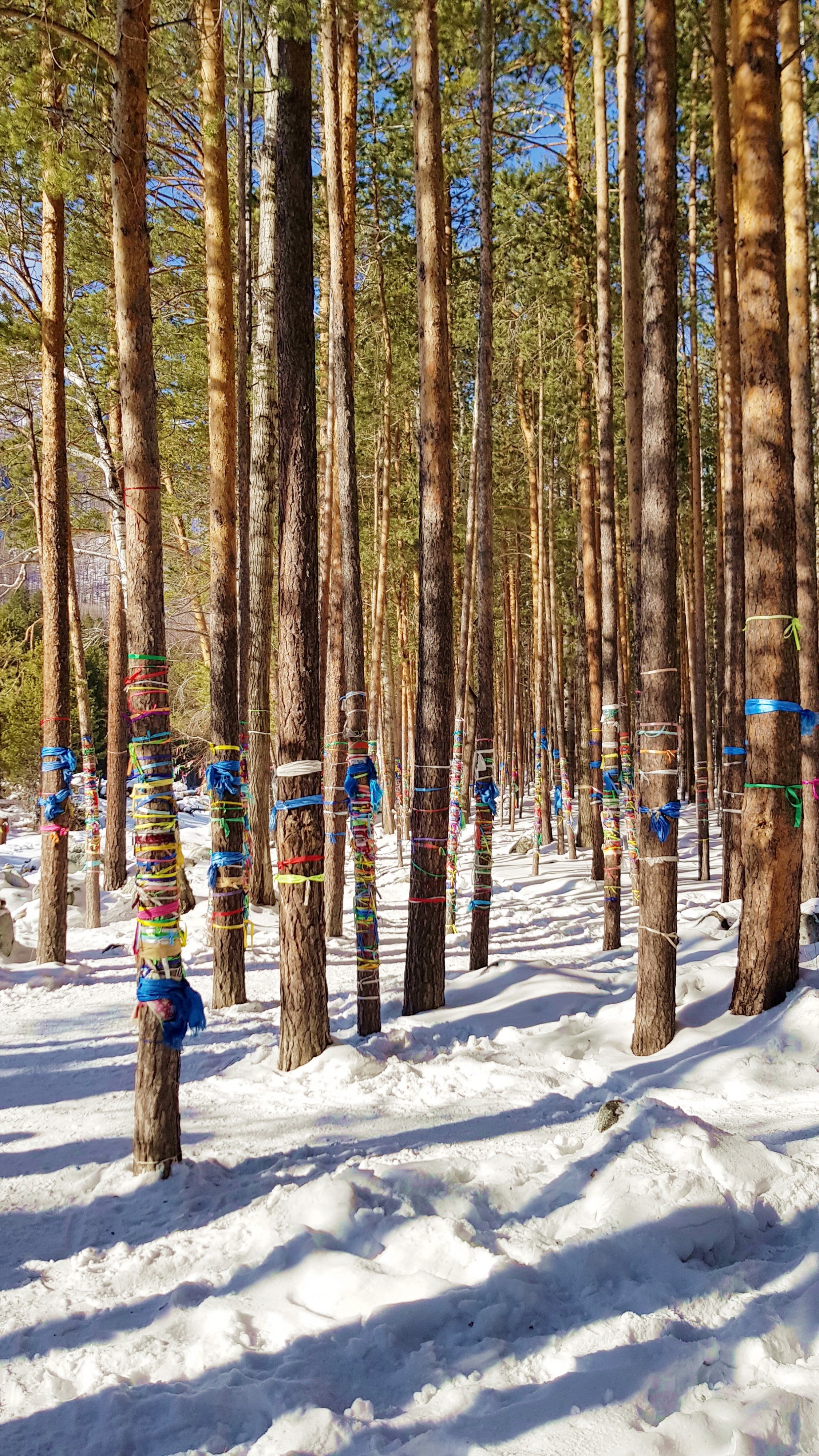 Аршан ленточки)))))