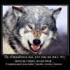 Иногда я гляжу по-волчьи... Иногда я гляжу по-волчьи...