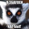 збагоен каг быг)))))) збагоен каг быг))))))