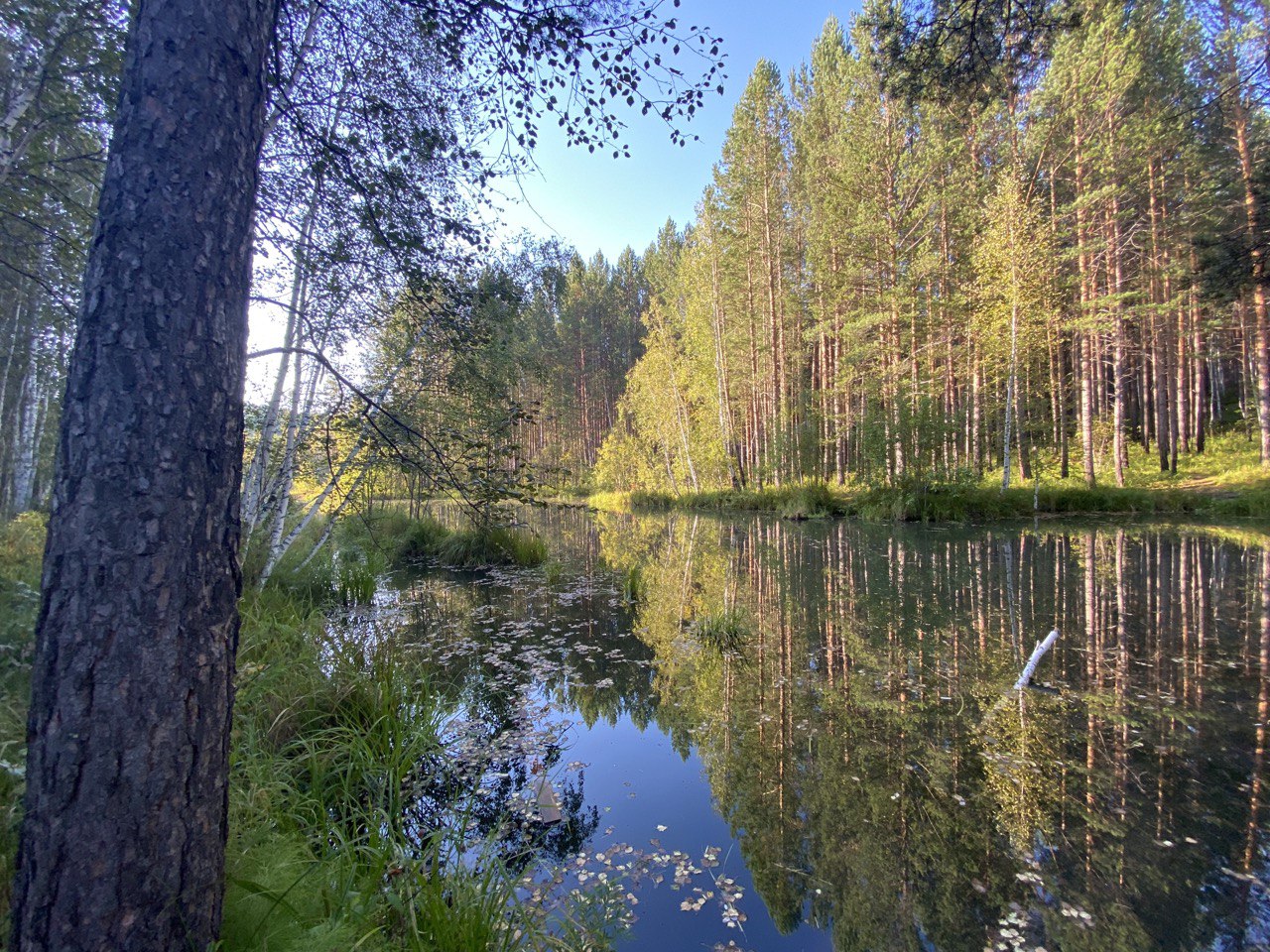 Завтра уже осень…