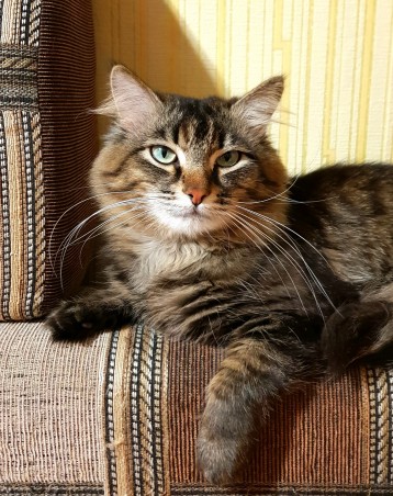 когда никуда не надо)))))