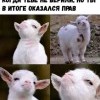 Когда оказался прав Когда оказался прав