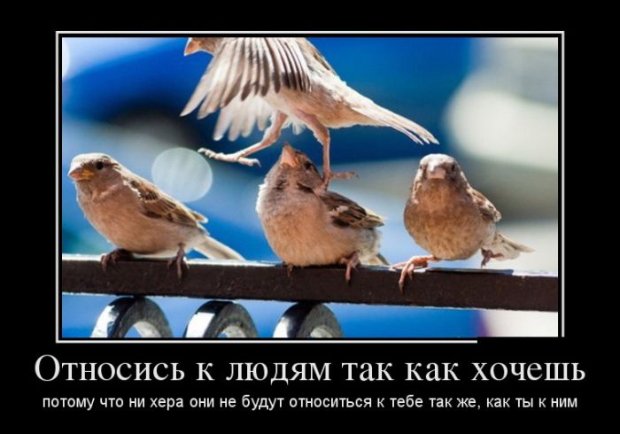 Отношение к людям