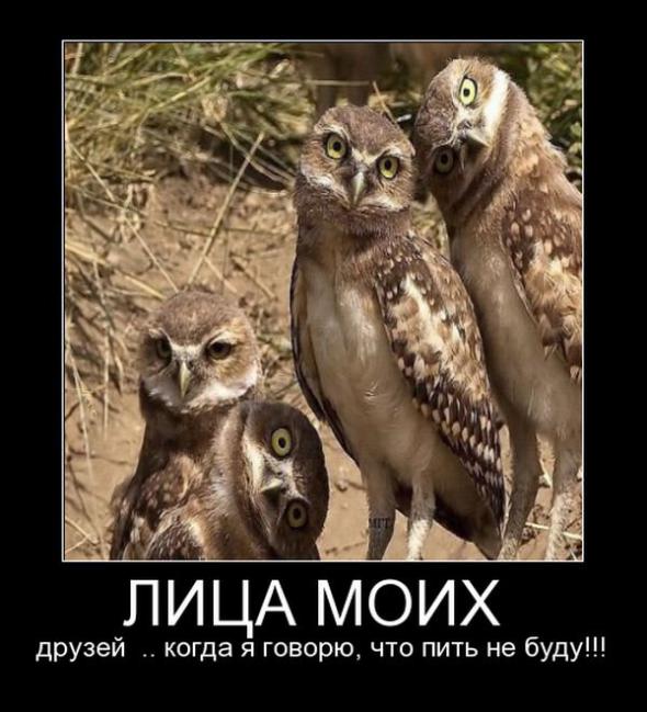 Лица моих друзей
