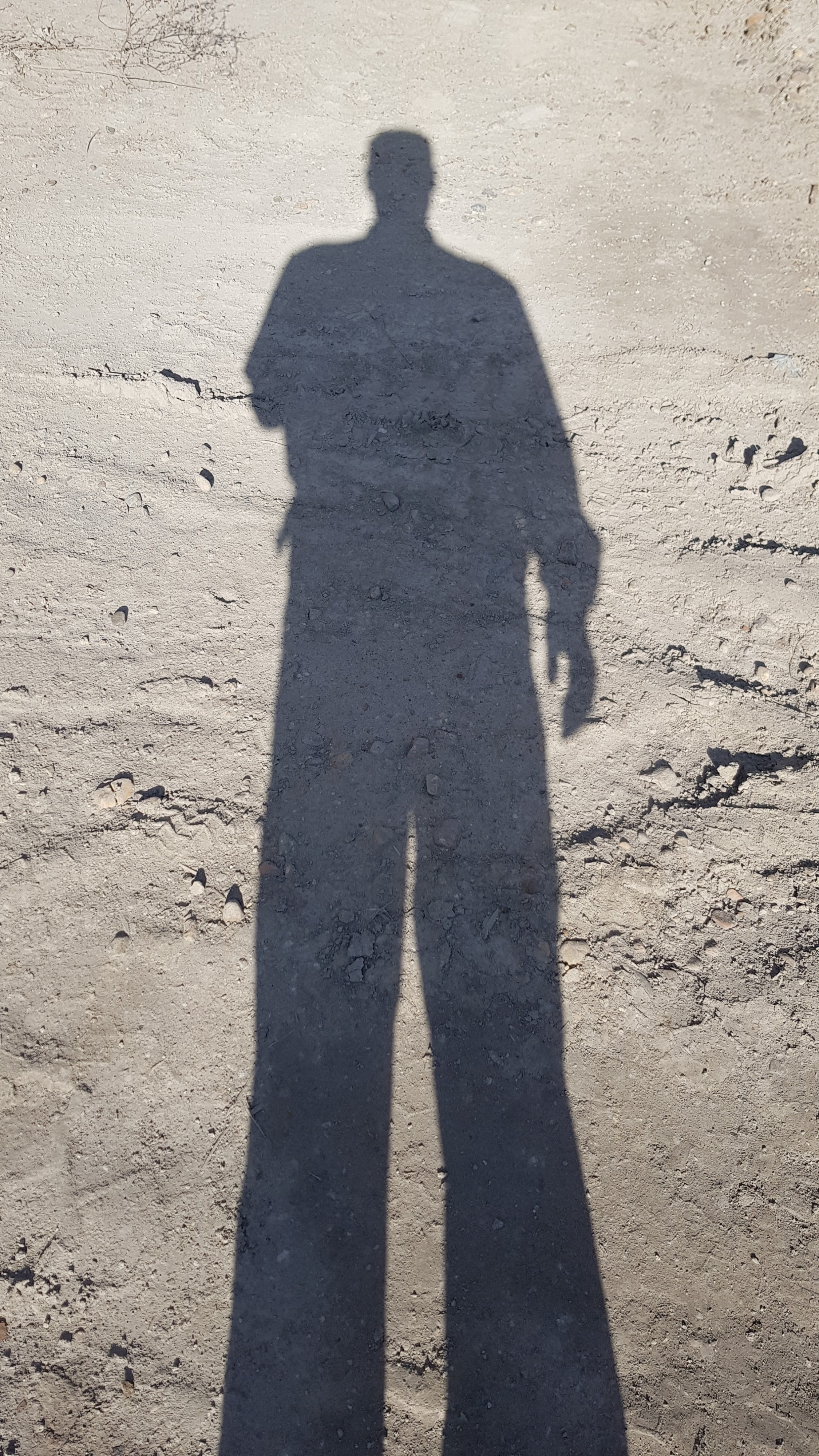 тень пыльноземляная сирёгина))))))