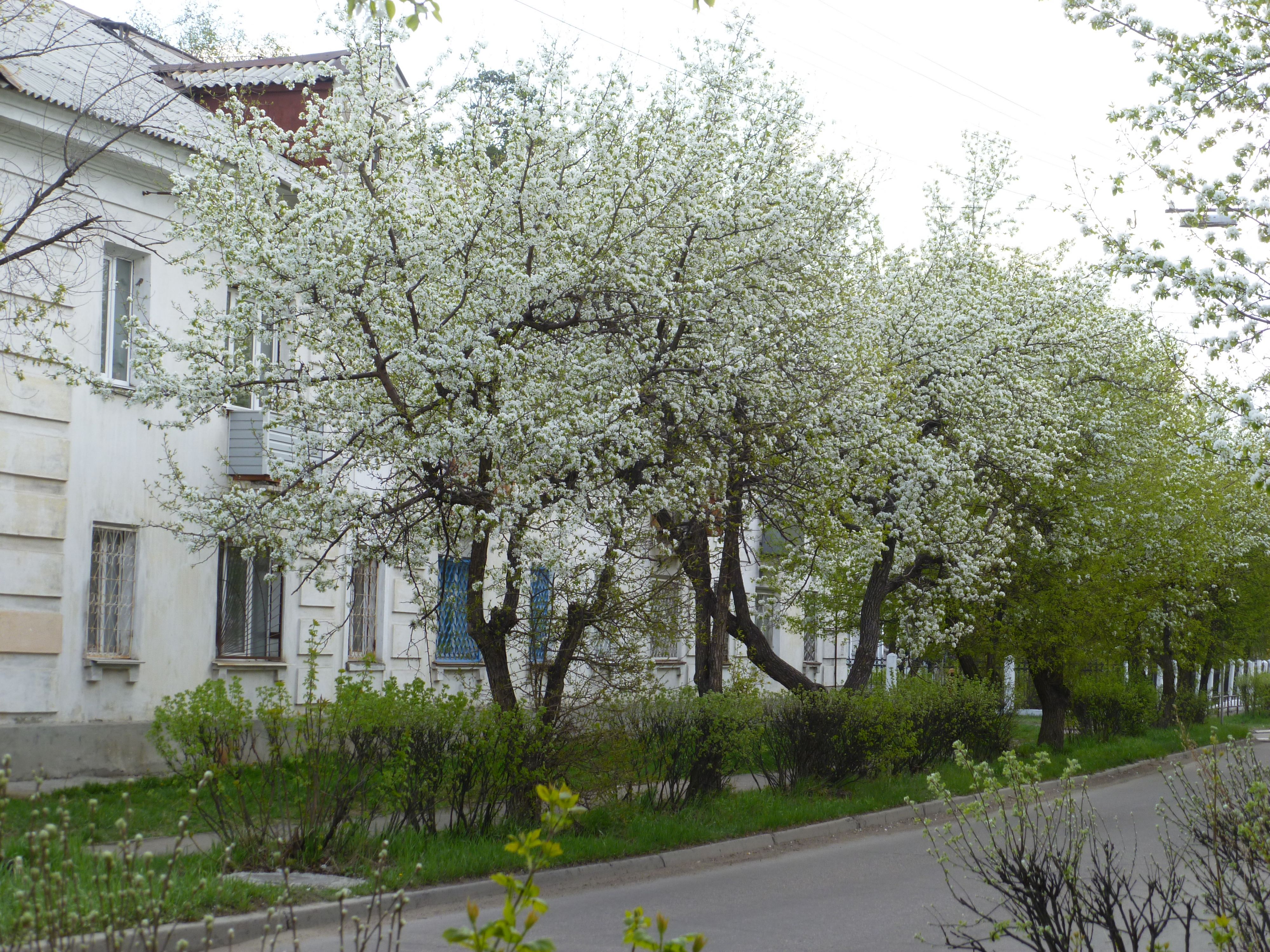 ул. Московская