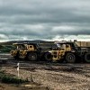 мечтают ли андроиды об электроовцах