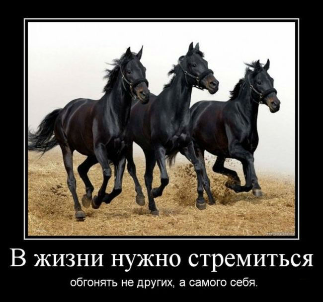В жизни-нужно стремиться