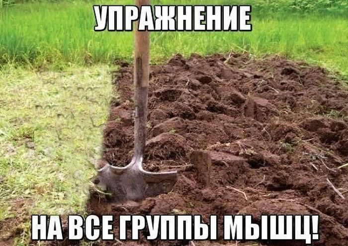 Упражнение