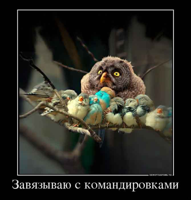 Завязываю с командировками