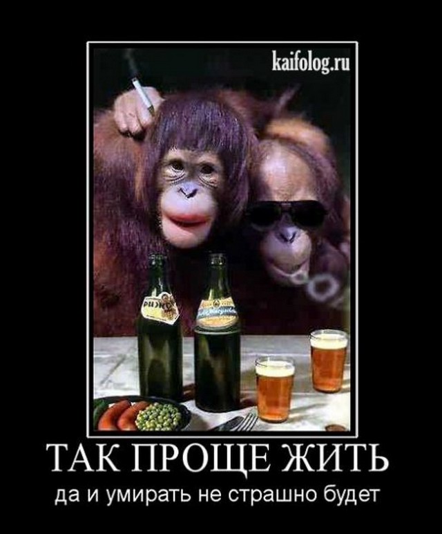 Так проще жить