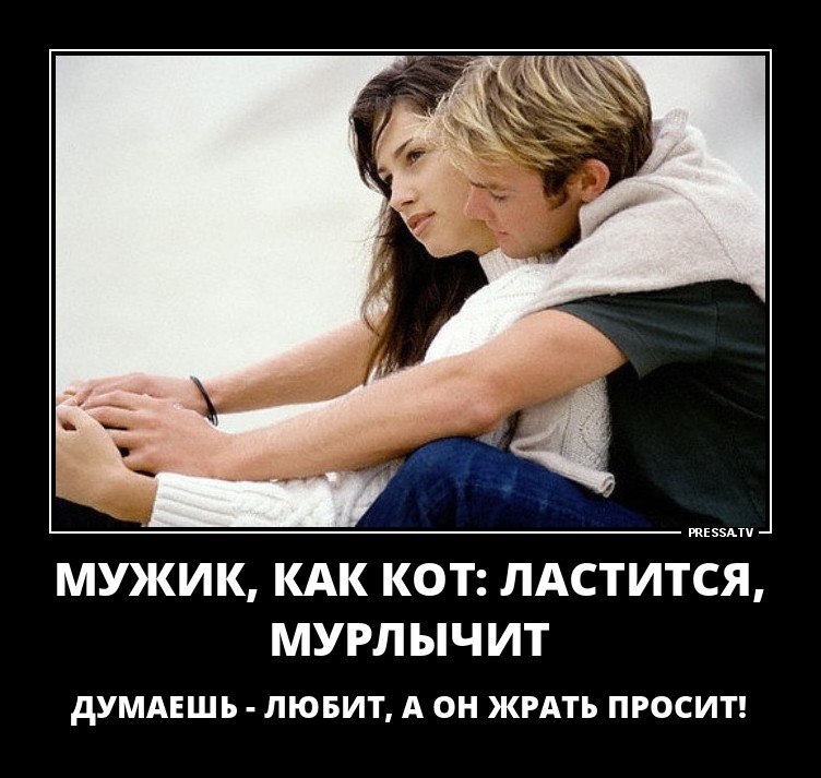Ластится,мурлычет