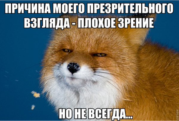 Причина взгляда