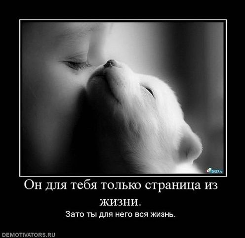 эх...