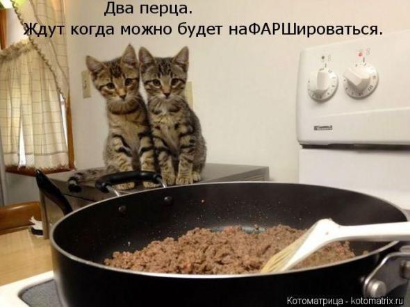 155a0f813ff8a1d54760be64c25 prev