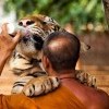Как дети малые Как дети малые
