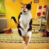 GetImage