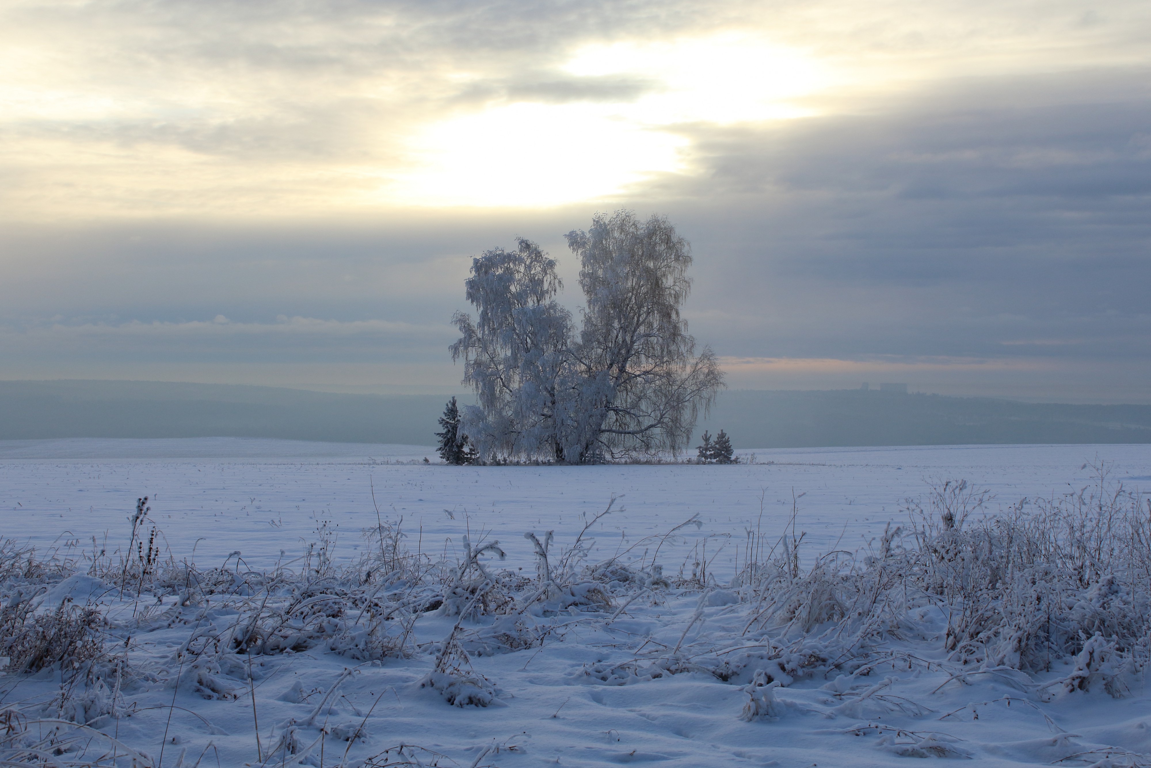 Черемховский район