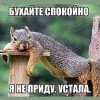 белочка устала)))))))