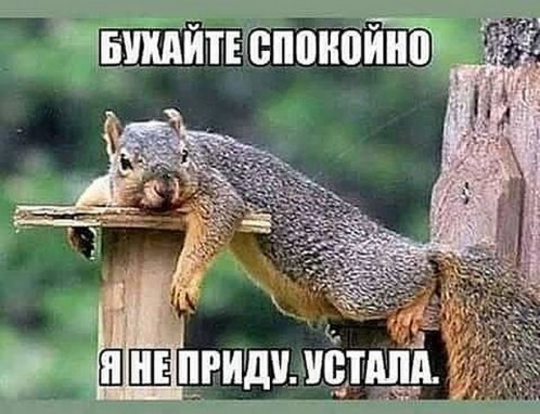 белочка устала)))))))