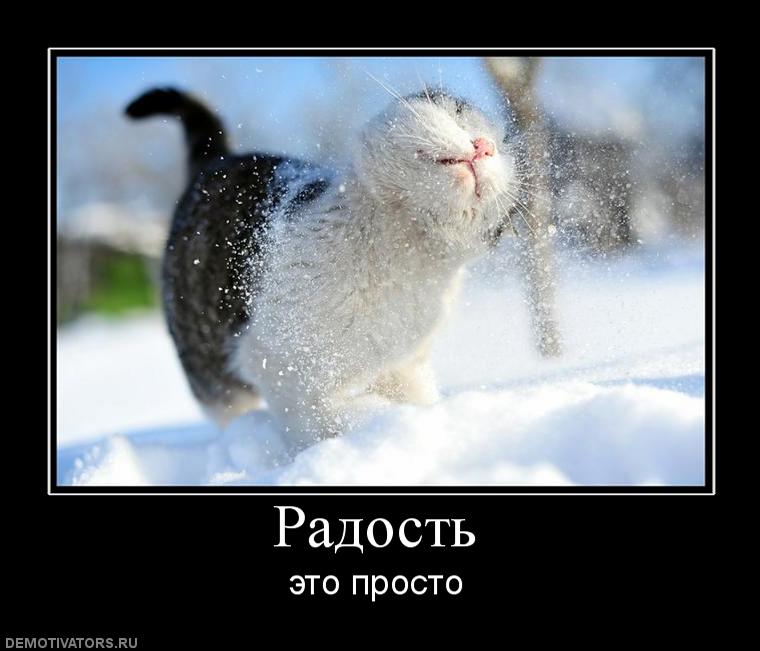 572872 radost