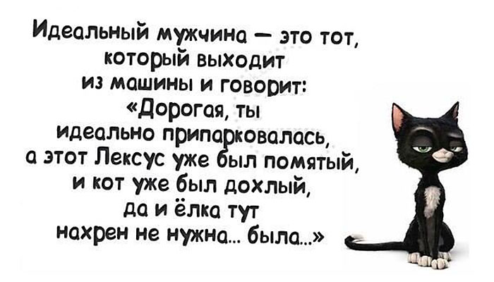 Идеальный мужчина