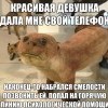 Номер телефона