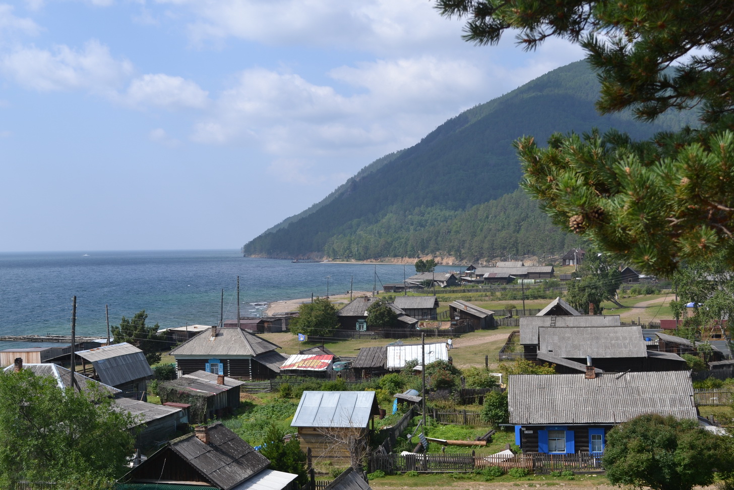 Большие КОты))))))