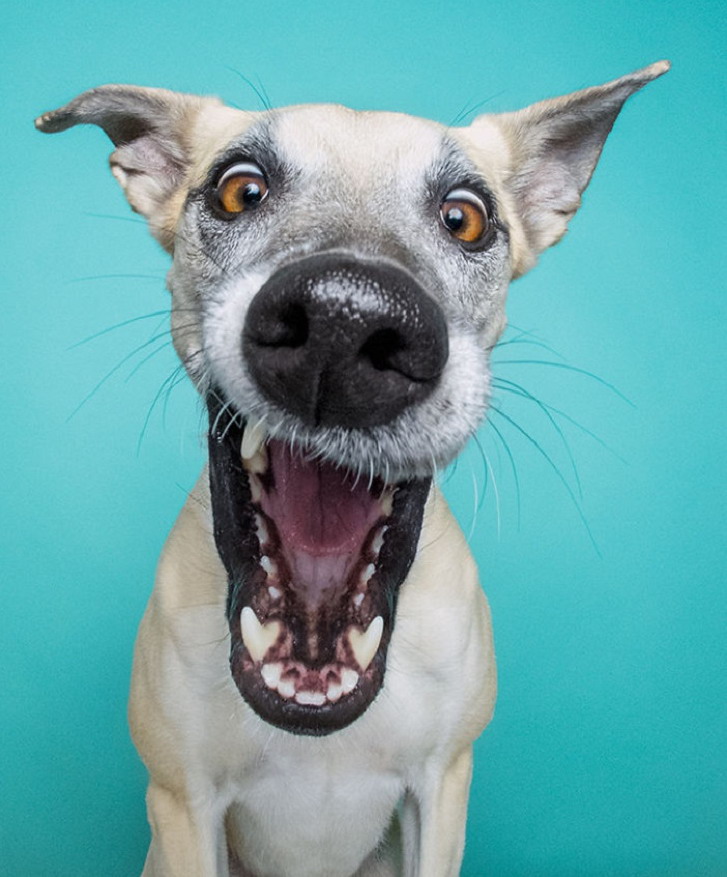 псэ узбагойзя)))))))