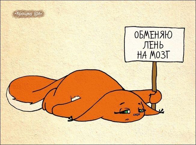 Обменяю лень на мозг