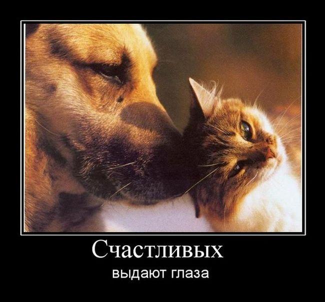 Счастливых выдают