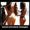Лошадка