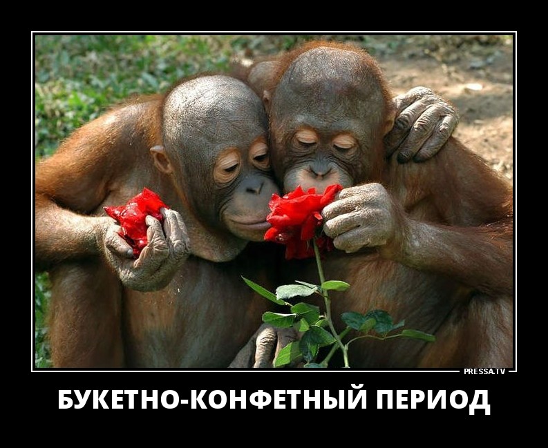 Букентно-конфетный период