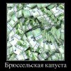 Капуста