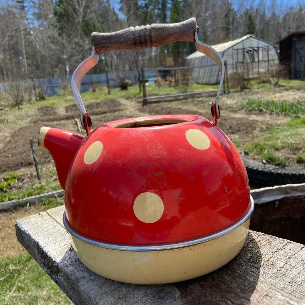 дачный сезон открыт