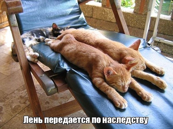 Лень