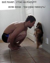 На стреме