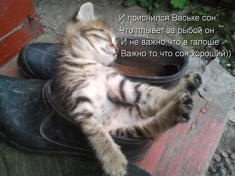 Сон