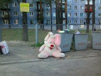 зайку бросила хозяйка)))))