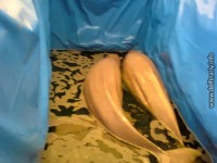 OBAxQxM5-VU OBAxQxM5-VU