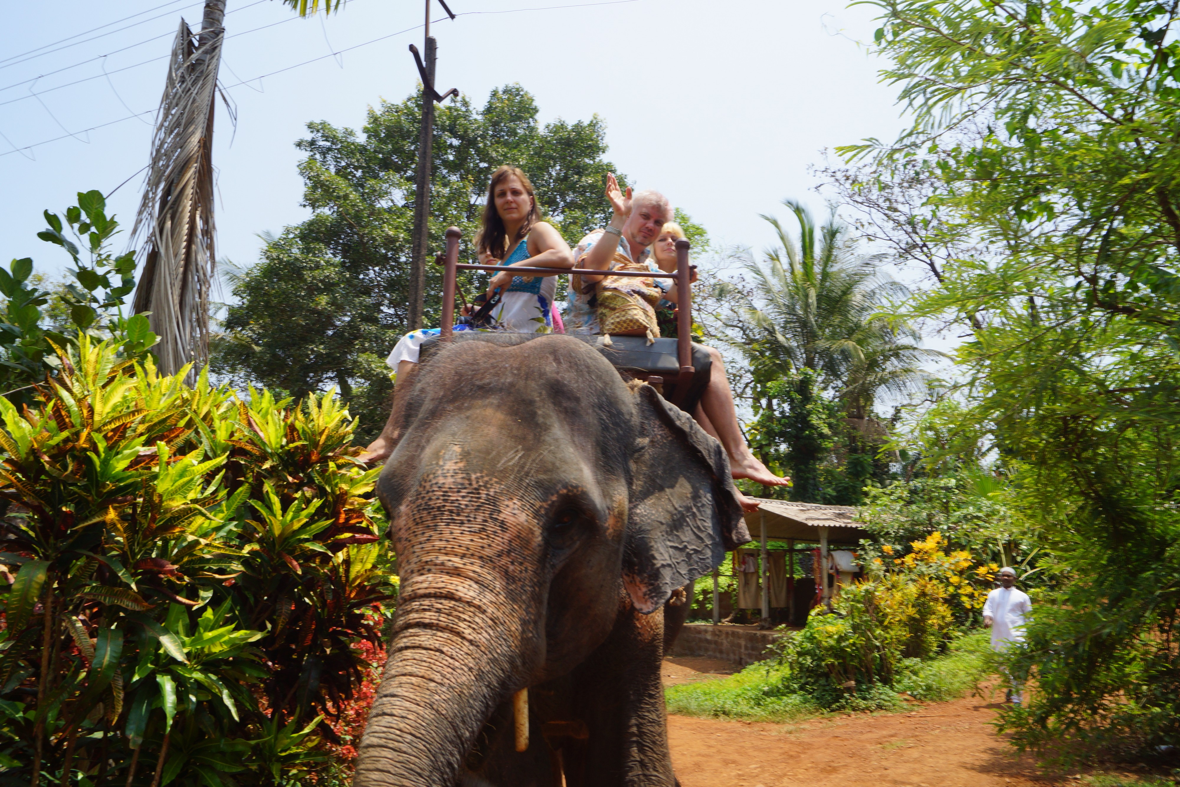 Как же хорошо на слоне!