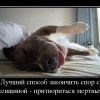 Способ закончить спор Способ закончить спор